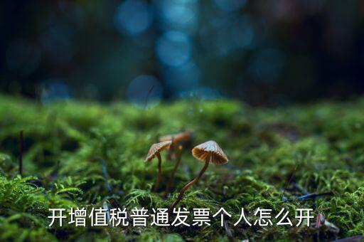 普票如何開給個(gè)人，增值稅普通發(fā)票開個(gè)人需要什么資料