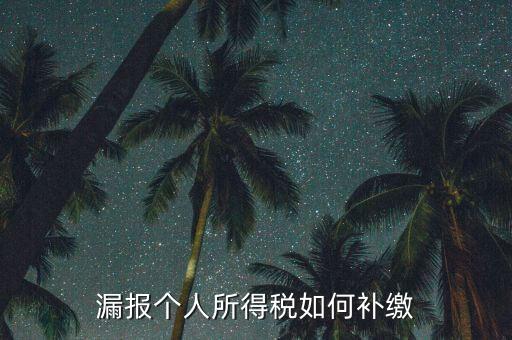 安徽省個稅如何補(bǔ)充申報，漏報個人所得稅如何補(bǔ)繳
