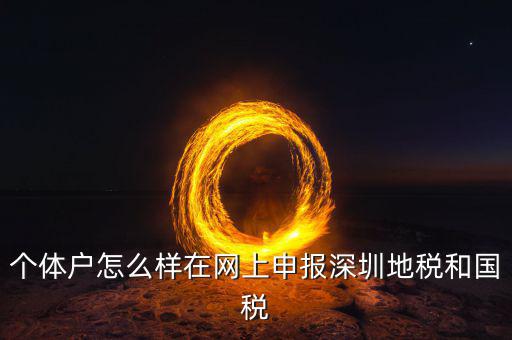 深圳市個稅如何申報系統(tǒng)，個體戶怎么樣在網(wǎng)上申報深圳地稅和國稅