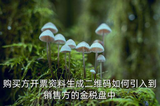 購(gòu)買方開票資料生成二維碼如何引入到銷售方的金稅盤中