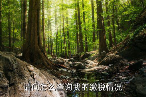 繳納稅款如何查詢，請問怎么查詢我的繳稅情況