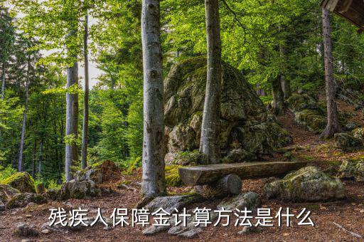 廣西殘疾人保障金如何計(jì)算，殘疾人保障金怎么計(jì)算