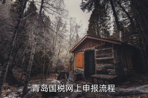 青島國地稅如何申報(bào)，國稅怎么申報(bào)