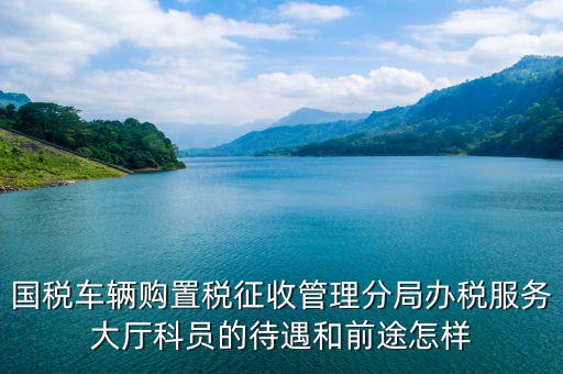 辦稅員工資如何，國稅車輛購置稅征收管理分局辦稅服務(wù)大廳科員的待遇和前途怎樣