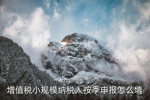 小規(guī)模納稅人如何按季申報，增值稅小規(guī)模納稅人按季申報怎么填