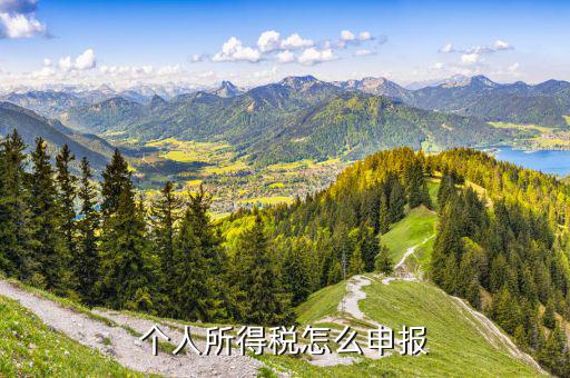個(gè)人所得稅個(gè)人如何申報(bào)，個(gè)人所得稅怎么申報(bào)