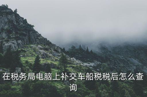 如何在電子稅務局上查詢稅種，在稅務局電腦上補交車船稅稅后怎么查詢