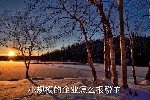 小企業(yè)會計如何報國稅，企業(yè)會計報稅流程是怎么樣的