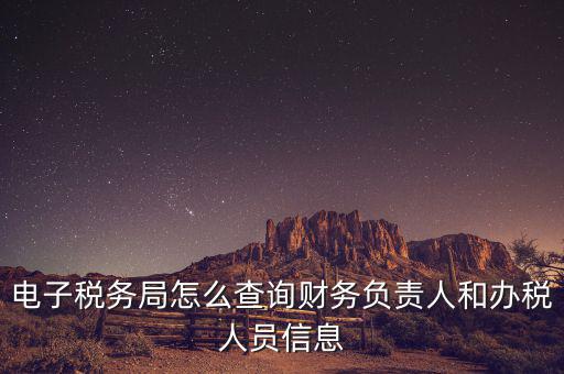 電子稅務(wù)局怎么查詢財務(wù)負責(zé)人和辦稅人員信息