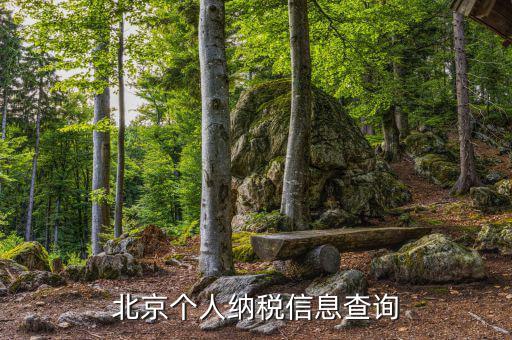 北京個(gè)人納稅信息查詢(xún)