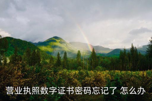 如何找回數(shù)字證書密碼，營業(yè)執(zhí)照數(shù)字證書密碼忘記了 怎么辦