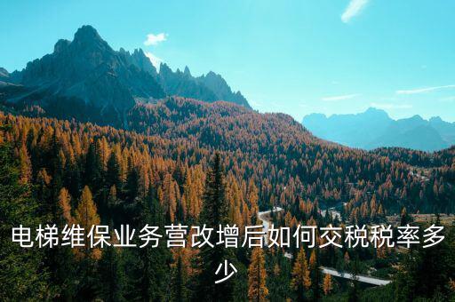 維保電梯如何納稅，麻煩問一下電梯維護(hù)與保養(yǎng)納什么稅稅率是多少 如果我公司銷售