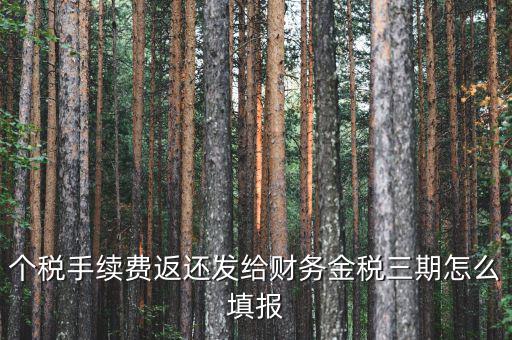 金稅三期獲如何連接稅務局，金稅三期個人所得稅扣繳系統(tǒng)怎樣連接地稅
