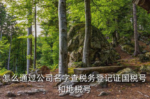 如何查詢企業(yè)國稅，怎么通過公司名字查稅務(wù)登記證國稅號(hào)和地稅號(hào)