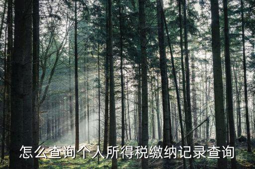 沈陽如何查個人所得稅繳費明細，如何查詢個人所得稅申報明細情況
