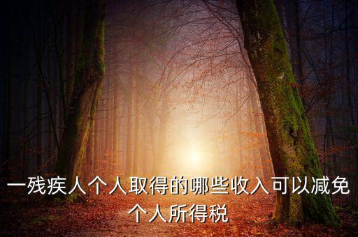 殘疾人減免個(gè)稅如何做賬，有殘疾人免稅證明在個(gè)人所得稅申報(bào)系統(tǒng)中如何填寫急