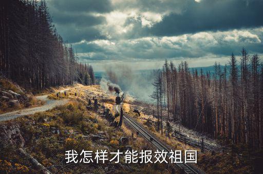 開的稅如何報效，報效祖國最好的辦法是什么