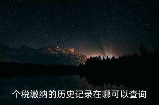 如何查詢個人所得稅繳費記錄，怎么查詢最新個人所得稅繳納記錄