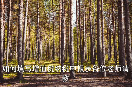 增值稅納稅申報(bào)表如何填報(bào)，增值稅申報(bào)表如何填寫