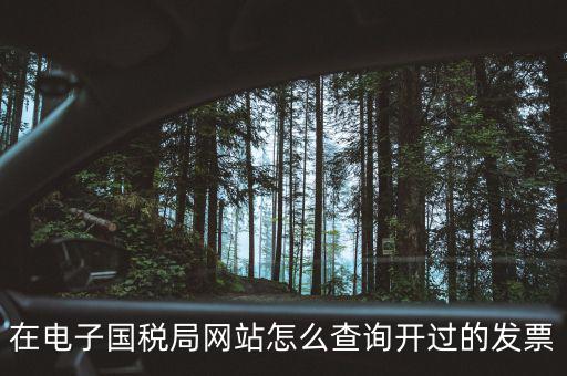 如何查詢電子發(fā)票信息，在電子國稅局網站怎么查詢開過的發(fā)票