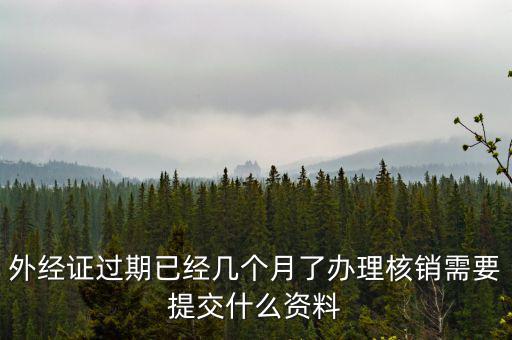 外經證過期已經幾個月了辦理核銷需要提交什么資料
