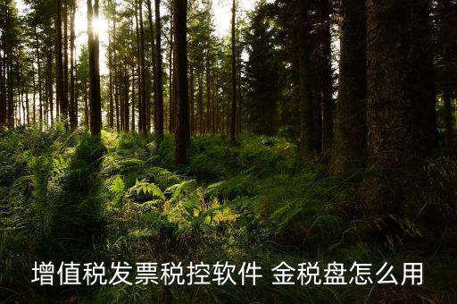 稅控盤如何用，我想問下 稅控盤如何使用