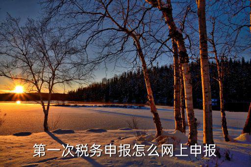 新網(wǎng)稅務(wù)如何申報(bào)，如何網(wǎng)上稅務(wù)申報(bào)