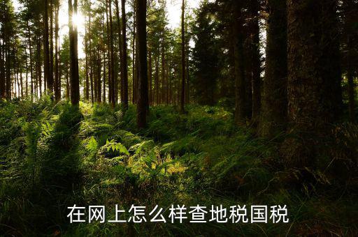 如何在國(guó)稅局網(wǎng)站進(jìn)入地稅，網(wǎng)上申報(bào)地稅具體怎么操作請(qǐng)高手指點(diǎn)