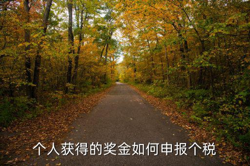 如何將獎金的稅款繳納至稅務(wù)局，個人獲得的獎金如何申報個稅