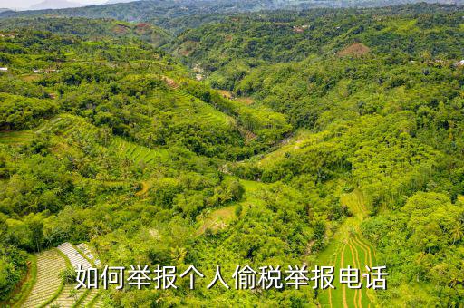 如何去稽查局 舉報(bào)電話，如何舉報(bào)個(gè)人偷稅舉報(bào)電話