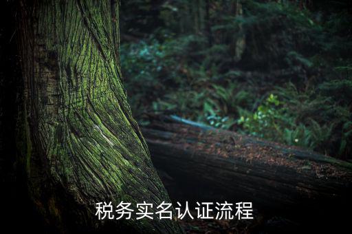 四川省稅務局如何實名采集信息，四川網(wǎng)上稅務局12366掌廳怎么實名采集掃哪個二維碼