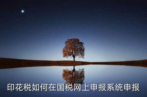 如何在網(wǎng)上申報(bào)安徽印花稅，如何在網(wǎng)上進(jìn)行印花稅的申報(bào)和繳納