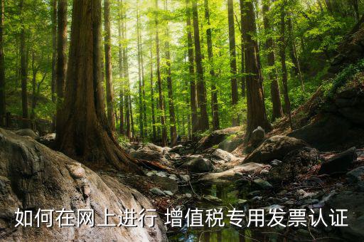 增值稅專用票如何在網(wǎng)上申請(qǐng)，購(gòu)買增值稅專用發(fā)票要先在網(wǎng)上怎么操作