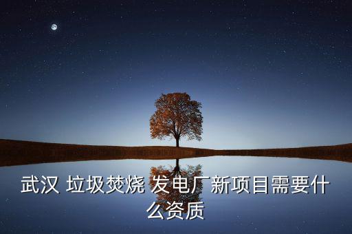 武漢 垃圾焚燒 發(fā)電廠新項目需要什么資質