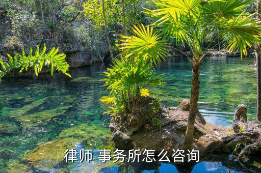  律師 事務(wù)所怎么咨詢(xún)