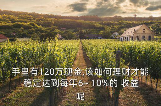 手里有120萬現(xiàn)金,該如何理財才能 穩(wěn)定達到每年6~ 10%的 收益呢