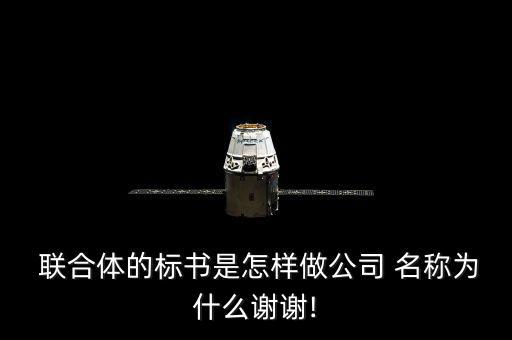  聯(lián)合體的標(biāo)書(shū)是怎樣做公司 名稱為什么謝謝!