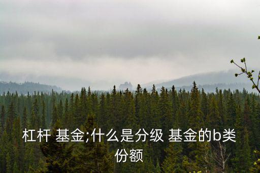 b類基金怎么買,基金知多少?問(wèn)與答（13）