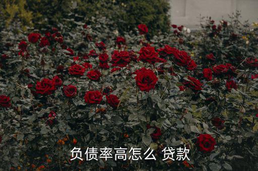 負(fù)債高怎么貸款買車,無房貸貸款最快一天公寓網(wǎng)點可以申請