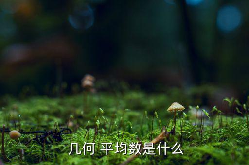 負數怎么幾何平均,數幾何平均的意義