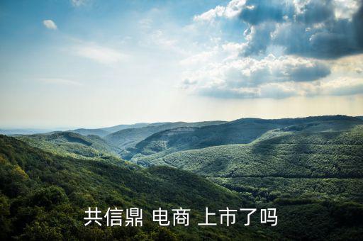 電商怎么上市,南極電商在納斯達(dá)克上市騰訊、慧聰網(wǎng)香港上市