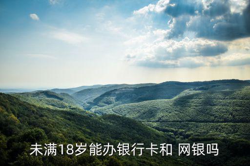 沒成年怎么辦網(wǎng)銀,如何申請網(wǎng)銀轉賬匯款?