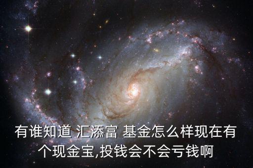 有誰知道 匯添富 基金怎么樣現(xiàn)在有個(gè)現(xiàn)金寶,投錢會不會虧錢啊