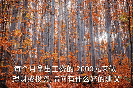 每個月拿出工資的 2000元來做 理財(cái)或投資,請問有什么好的建議