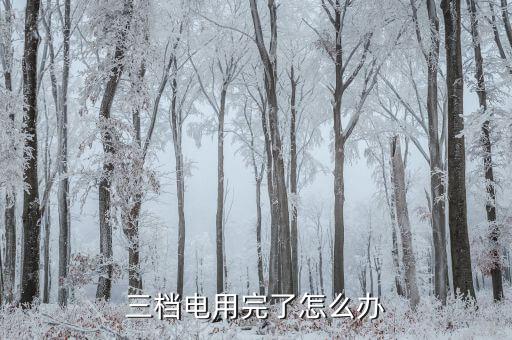 電價階梯第三檔怎么辦,南方電網(wǎng)95598電費詳情請關注微信