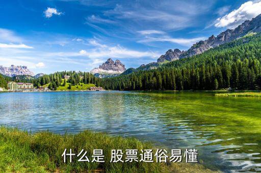 怎么懂股票,股票基礎(chǔ)、股票定投、投資書籍等資源免費(fèi)下載
