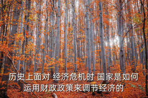 歷史上面對 經(jīng)濟(jì)危機(jī)時 國家是如何運用財政政策來調(diào)節(jié)經(jīng)濟(jì)的