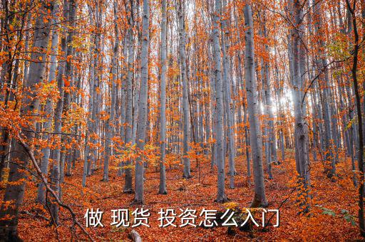 做 現(xiàn)貨 投資怎么入門(mén)