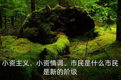 小資主義、小資情調(diào)、市民是什么市民是新的階級