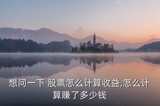 想問(wèn)一下 股票怎么計(jì)算收益,怎么計(jì)算賺了多少錢